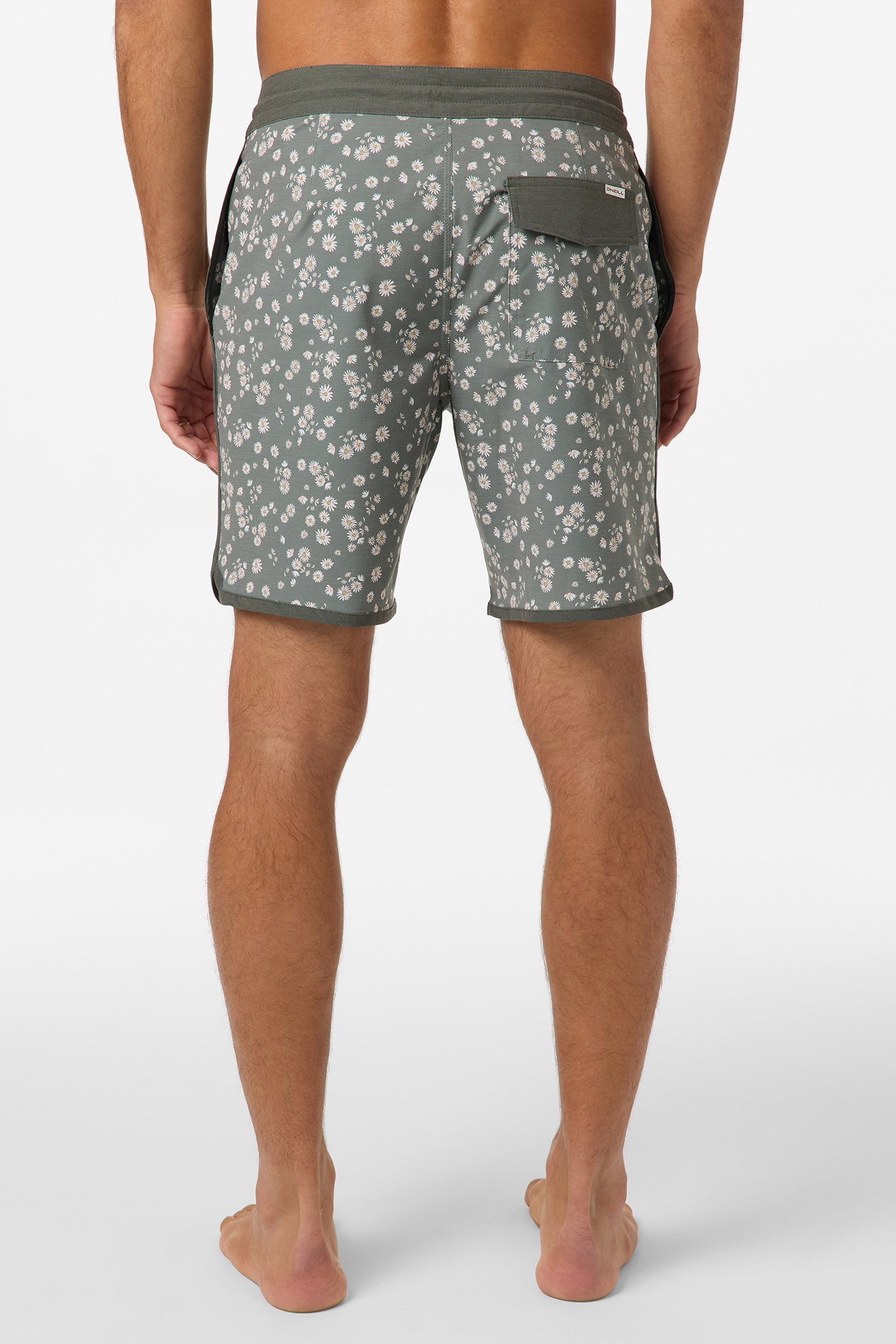 Cruzer Scallop 18 Boardshorts - Image 4