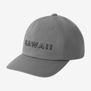 Hawaii Idles Trucker Hat